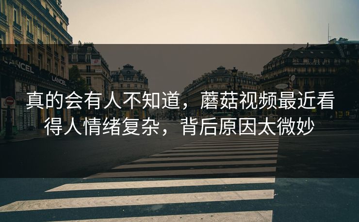 真的会有人不知道，蘑菇视频最近看得人情绪复杂，背后原因太微妙