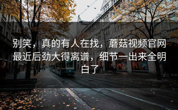 别笑，真的有人在找，蘑菇视频官网最近后劲大得离谱，细节一出来全明白了