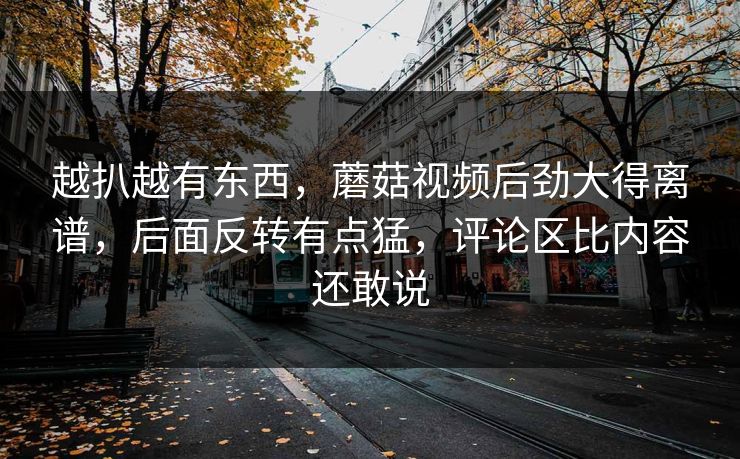 越扒越有东西，蘑菇视频后劲大得离谱，后面反转有点猛，评论区比内容还敢说