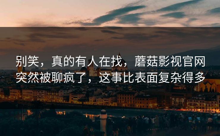 别笑，真的有人在找，蘑菇影视官网突然被聊疯了，这事比表面复杂得多