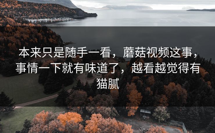 本来只是随手一看，蘑菇视频这事，事情一下就有味道了，越看越觉得有猫腻