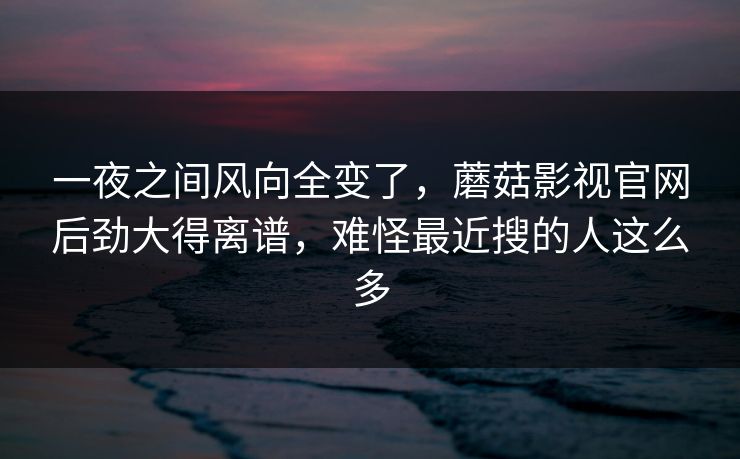 一夜之间风向全变了，蘑菇影视官网后劲大得离谱，难怪最近搜的人这么多