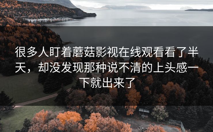 很多人盯着蘑菇影视在线观看看了半天，却没发现那种说不清的上头感一下就出来了