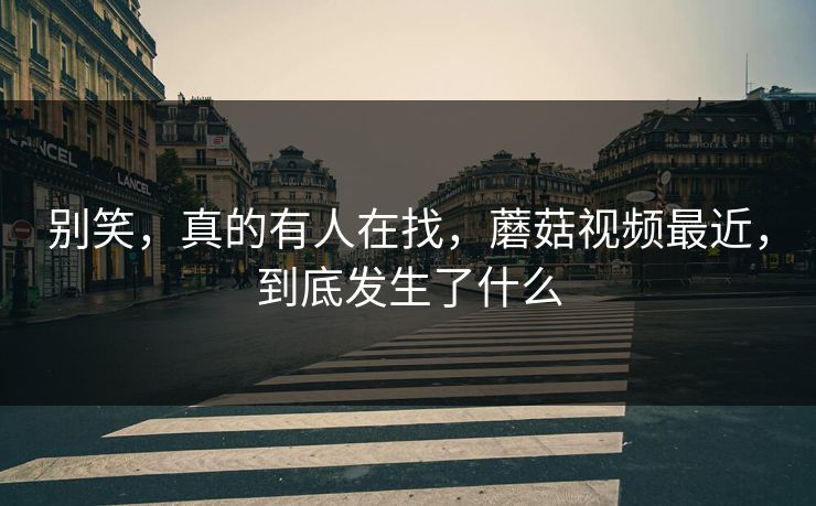别笑，真的有人在找，蘑菇视频最近，到底发生了什么