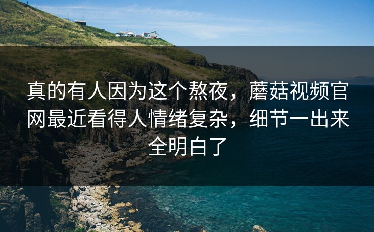 真的有人因为这个熬夜，蘑菇视频官网最近看得人情绪复杂，细节一出来全明白了