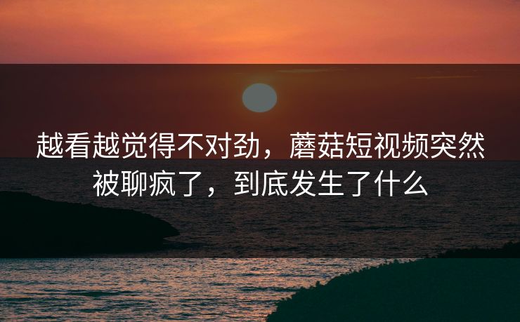 越看越觉得不对劲,蘑菇短视频突然被聊疯了,到底发生了什么 越看越觉得不对劲,蘑菇短视频突然被聊疯了,到底发生了什么