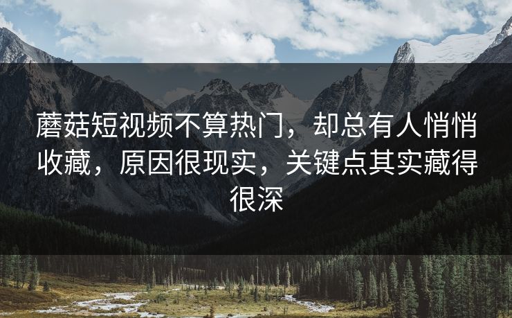 蘑菇短视频不算热门,却总有人悄悄收藏,原因很现实,关键点其实藏得很深 蘑菇短视频不算热门,却总有人悄悄收藏,原因很现实,关键点其实藏得很深