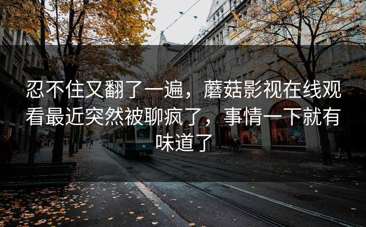 忍不住又翻了一遍,蘑菇影视在线观看最近突然被聊疯了,事情一下就有味道了 忍不住又翻了一遍,蘑菇影视在线观看最近突然被聊疯了,事情一下就有味道了