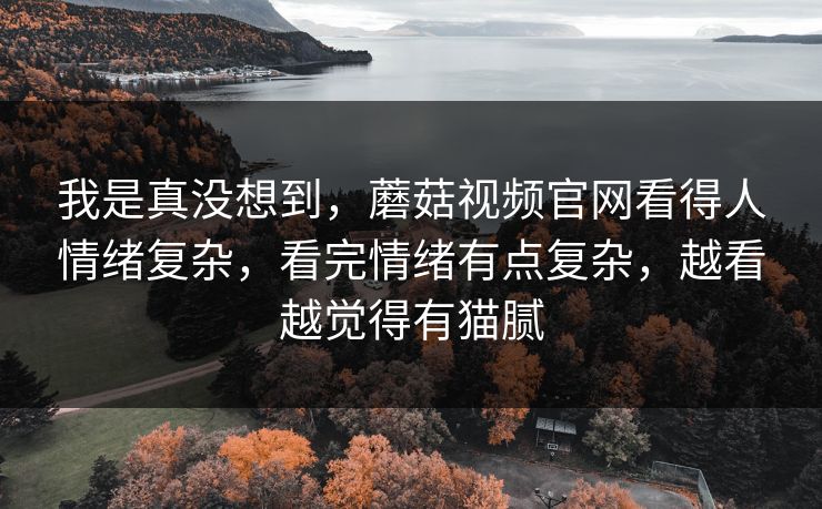 我是真没想到,蘑菇视频官网看得人情绪复杂,看完情绪有点复杂,越看越觉得有猫腻 我是真没想到,蘑菇视频官网看得人情绪复杂,看完情绪有点复杂,越看越觉得有猫腻