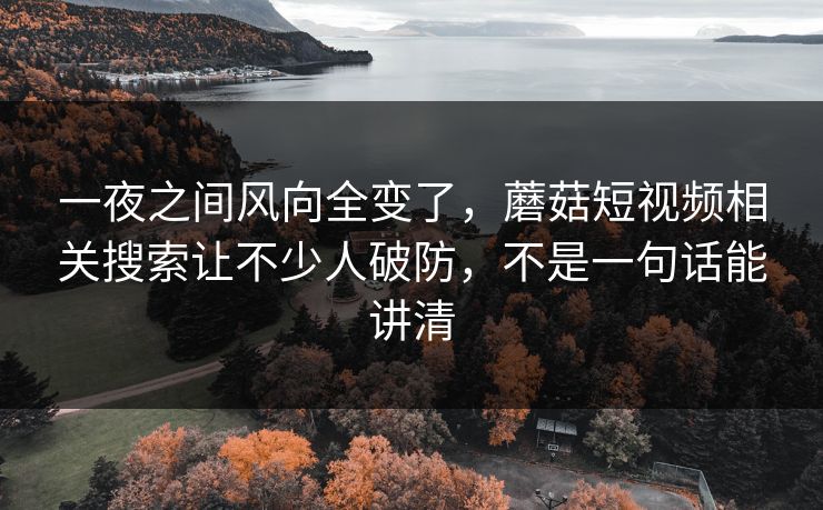 一夜之间风向全变了,蘑菇短视频相关搜索让不少人破防,不是一句话能讲清 一夜之间风向全变了,蘑菇短视频相关搜索让不少人破防,不是一句话能讲清